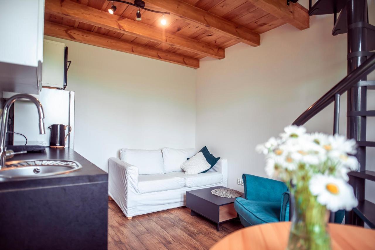 Zimna Apartments Kwidzyn Bagian luar foto